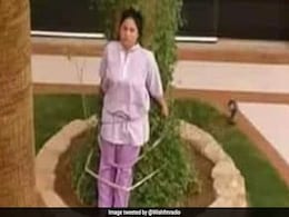 बॉस ने नौकरानी को घंटों बांधकर रखा पेड़ से, छोटी सी गलती की मिली ऐसी सजा बॉस ने नौकरानी को घंटों बांधकर रखा पेड़ से, छोटी सी गलती की मिली ऐसी सजा