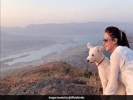Urmila Matondkar Stars In "Radar" Taunt At PM Modi With "Pet Romeo" Urmila Matondkar Stars In "Radar" Taunt At PM Modi With "Pet Romeo"
