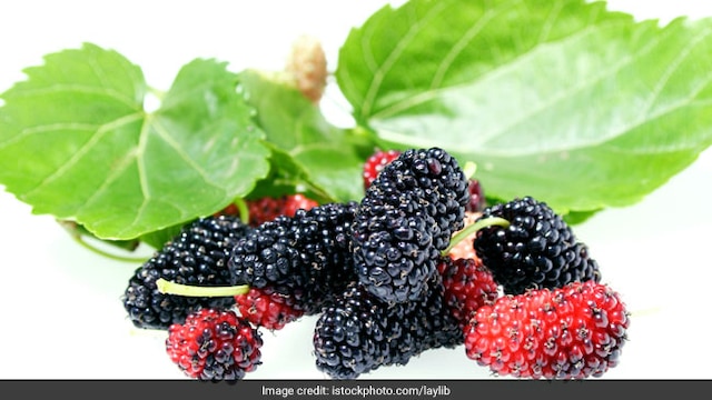 Mulberry can regulate cholesterol and prevent cancer