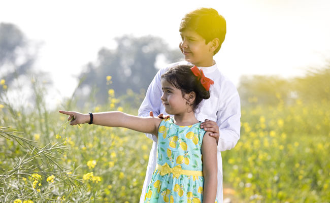 Happy Brother's Day 2020: आज मनाया जा रहा है भाई दिवस, भेजे अपने भाई को ये मैसेज और करें Wish