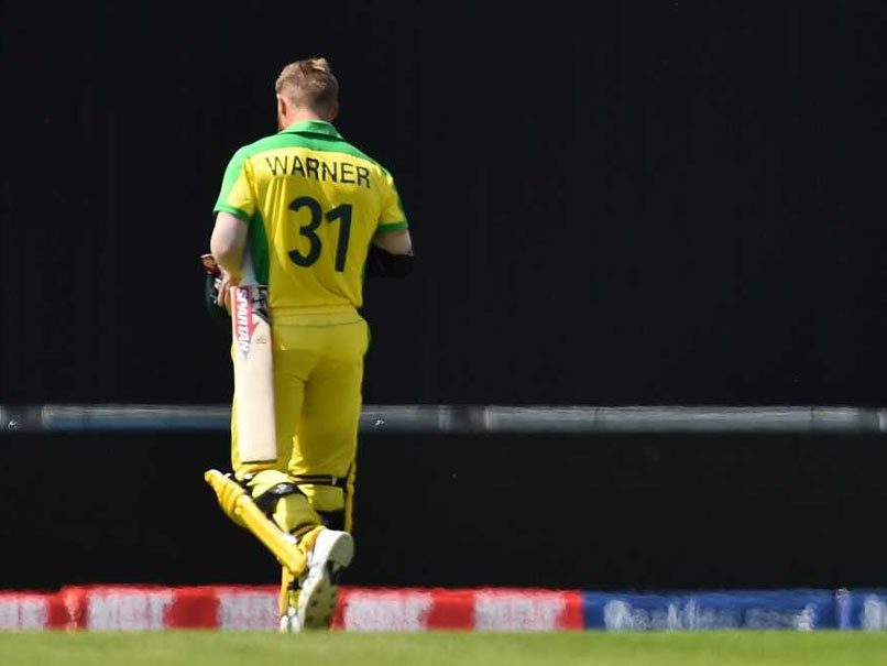 "Get Off, You Cheat": David Warner Booed, Heckled By Crowd In England