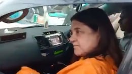 Lok Sabha Poll Result 2024: BJP's Maneka Gandhi Trails In Sultanpur In UP