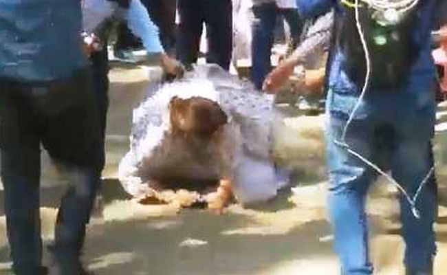 वोटिंग के दिन धड़ाम से गिरीं बीजेपी नेता किरण खेर, उठते ही बोलीं- प्लीज डोंट रिकॉर्ड दिस...देखें Video