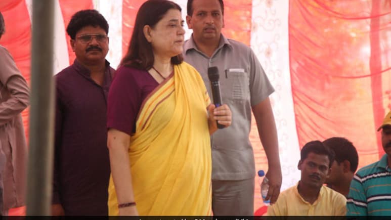 "Impractical, Financially Unviable": Maneka Gandhi On Top Court's Stray Dogs Order