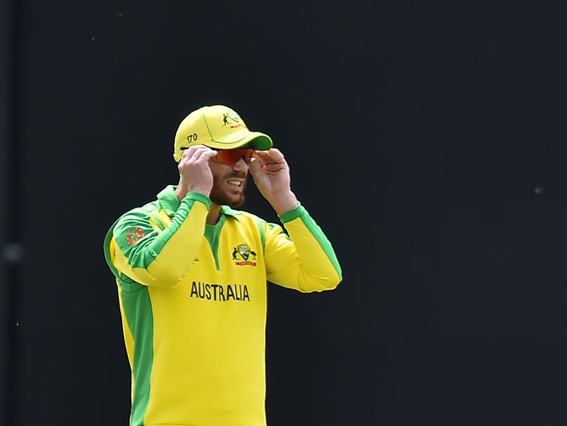 Afghanistan vs Australia: David Warner, Australia Player To Watch Out For Afghanistan vs Australia: David Warner, Australia Player To Watch Out For