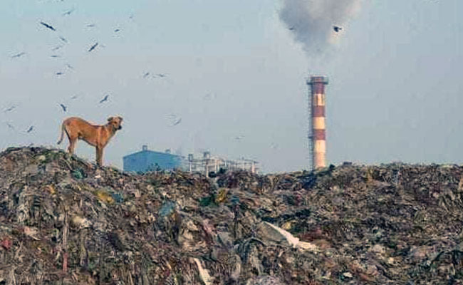 "Who Needs Himalayas?": People Review Delhi's Infamous Ghazipur Garbage Dump