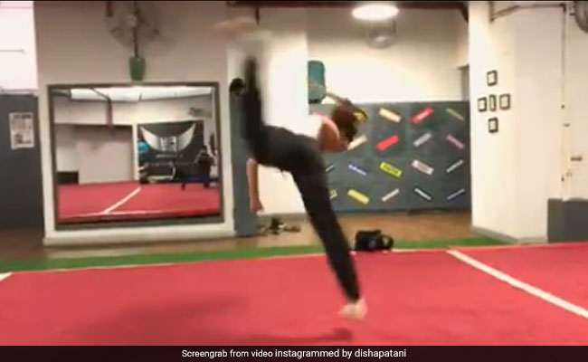 दिशा पटानी ने किया कुछ ऐसा, तो लोग बोले- टाइगर का असर है...देखें Video