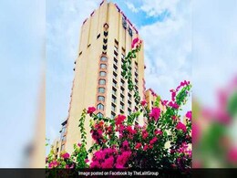Undisclosed Assets Of Hotel Group Worth Rs 1,000 Crore Detected: Tax Body Undisclosed Assets Of Hotel Group Worth Rs 1,000 Crore Detected: Tax Body