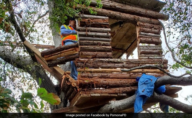 Burglary Suspect Found Living In A Treehouse With Fire Pit And Barbecue