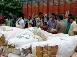 2,500 Kg Cannabis Seized In Visakhapatnam, Two Arrested 2,500 Kg Cannabis Seized In Visakhapatnam, Two Arrested