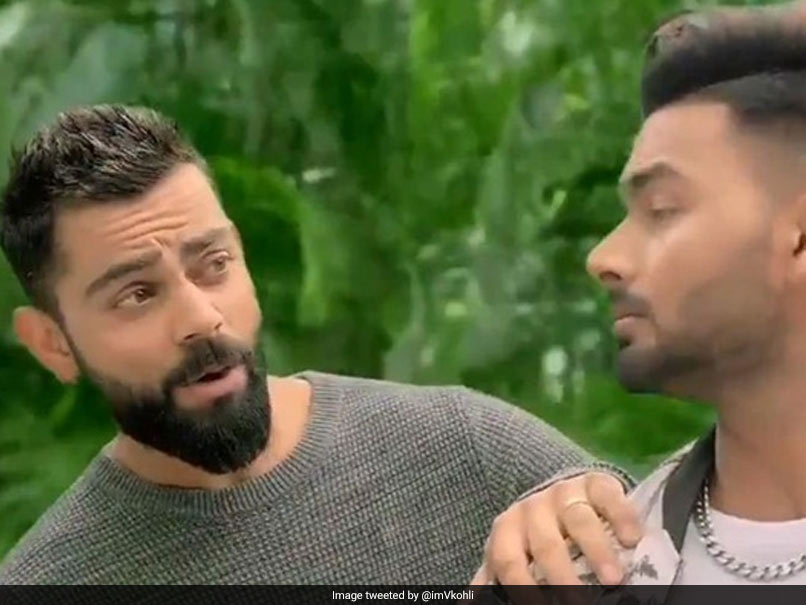 विराट कोहली के विज्ञापन की आलोचना पर कुछ ऐसे फैंस ने की ब्रैड हॉज की खिंचाई