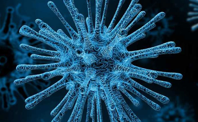 Deadly Shigella Bacteria The Cause Behind Kerala Food Poisoning Cases