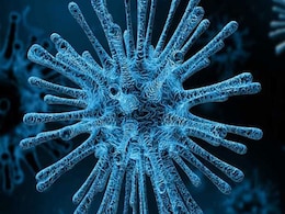 Deadly Shigella Bacteria The Cause Behind Kerala Food Poisoning Cases Deadly Shigella Bacteria The Cause Behind Kerala Food Poisoning Cases