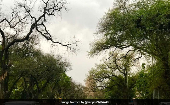 Delhi Weather: Dust Storm, Light Rain Bring Down Temperature