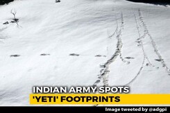 What Scientists Are Saying About Army's "Yeti" Footprint Photos What Scientists Are Saying About Army's "Yeti" Footprint Photos