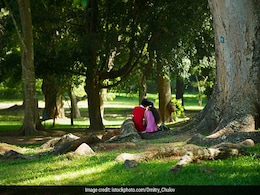 बॉयफ्रेंड ने लड़की को बुलाया बगीचे में, सबंध बनाने से किया इनकार तो डाल दिया तेजाब बॉयफ्रेंड ने लड़की को बुलाया बगीचे में, सबंध बनाने से किया इनकार तो डाल दिया तेजाब