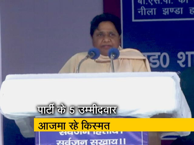 दिल्ली के चुनावी अखाड़े में बसपा प्रमुख मायावती