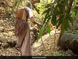 79 साल की वह रिटायर्ड महिला प्रोफेसर, जिसने अपनी पूरी जिंदगी में कभी बिजली का इस्तेमाल नहीं किया 79 साल की वह रिटायर्ड महिला प्रोफेसर, जिसने अपनी पूरी जिंदगी में कभी बिजली का इस्तेमाल नहीं किया