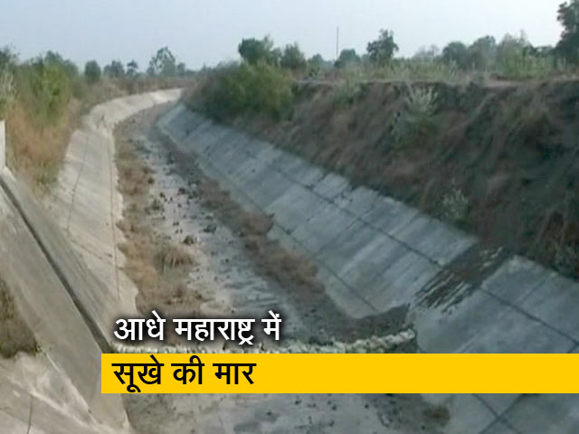 सूखे से परेशान महाराष्ट्र, 151 तहसीलें सूखाग्रस्त