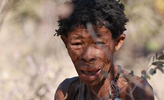 Indigenous Peoples, "Guardians Of Nature", Under Siege: Report