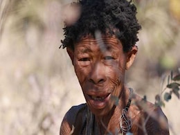 Indigenous Peoples, "Guardians Of Nature", Under Siege: Report Indigenous Peoples, "Guardians Of Nature", Under Siege: Report