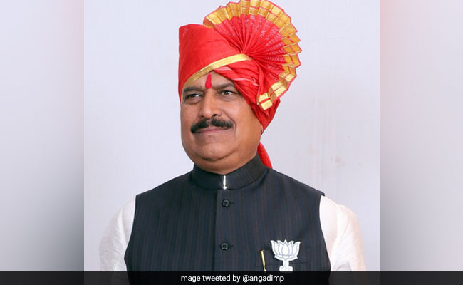 "People Getting Married...": Union Minister's Bizarre Comment On Economy