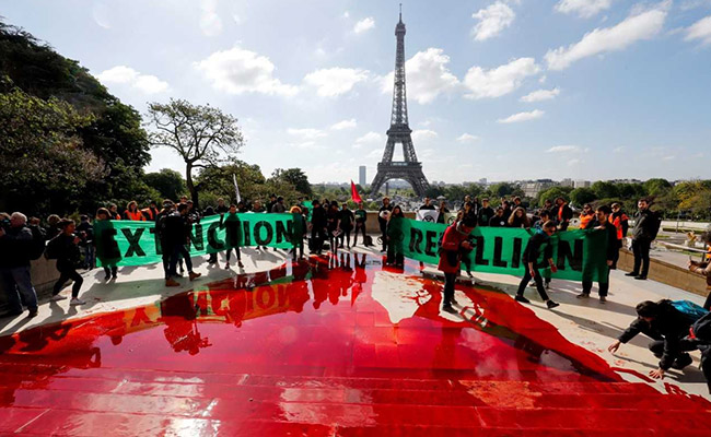 Crowd Gathered To Protest Against Mass Extinction, Then The Streets Went Red