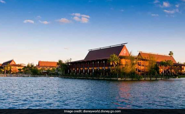 Woman Suffers Injuries After Bird "Dive-Bombed" Her, Sues Disney World