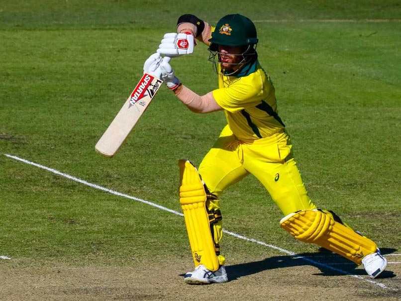 Steve Smith, David Warner Return As Australia XI Beat New Zealand XI In World Cup Warm Up Match