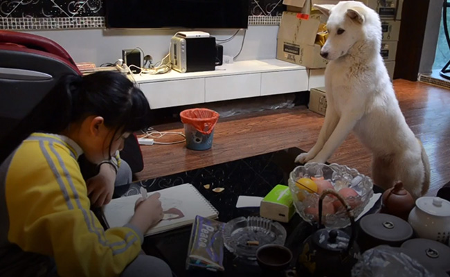 बच्ची को पढ़ाई कराता है ये कुत्ता, इधर-उधर भटका ध्यान तो देता है ऐसी सजा...देखें VIDEO