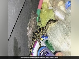 Florida Woman Pulls Alligator From Pants After Being Pulled Over By Cop Florida Woman Pulls Alligator From Pants After Being Pulled Over By Cop