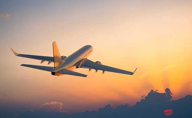 Israel Airport On High Alert After Plane Makes Emergency Landing: Report