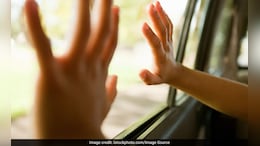 8 Travelling Illegally Inside Refrigerated Truck Die From Suffocation In China