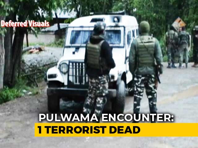 Terrorist Shot Dead In Encounter With Security Forces In J&K's Pulwama