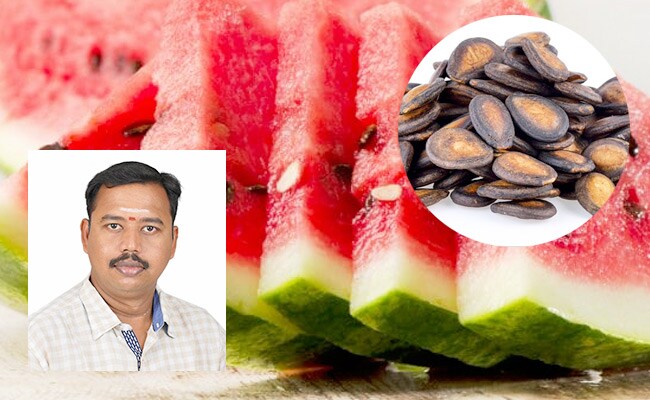 ஆண்களுக்கு அதிக ஆற்றலைத்தரும் தர்பூசனி விதை…! ஆண்களுக்கு அதிக ஆற்றலைத்தரும் தர்பூசனி விதை…!