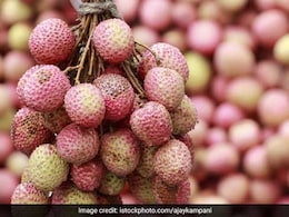 Health Benefits of Lychee Fruit:  तपती, जलती गर्मी में ठंडक का अहसास करा सकता है ये छोटा सा फल | गर्मियों में लीची खाने के फायदे Health Benefits of Lychee Fruit:  तपती, जलती गर्मी में ठंडक का अहसास करा सकता है ये छोटा सा फल | गर्मियों में लीची खाने के फायदे