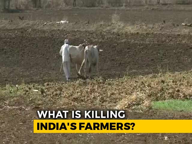 Over 12,000 Farmers Committed Suicide In 3 Years: Maharashtra Government