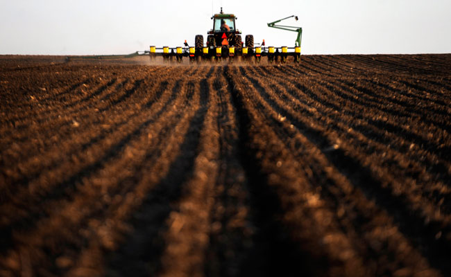 Environmental Experts Find New Way To Remove Trillion Tons Carbon Dioxide