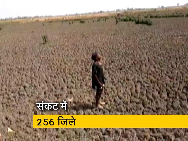 256 जिलों में पानी की किल्लत, देशभर में भेजे जाएंगे अधिकारी और वैज्ञानिक