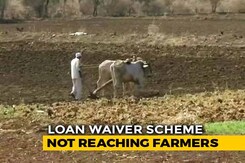 How Bad Is Maharashtra Farmer Crisis? 8 Suicides Every Day For 4 Years How Bad Is Maharashtra Farmer Crisis? 8 Suicides Every Day For 4 Years