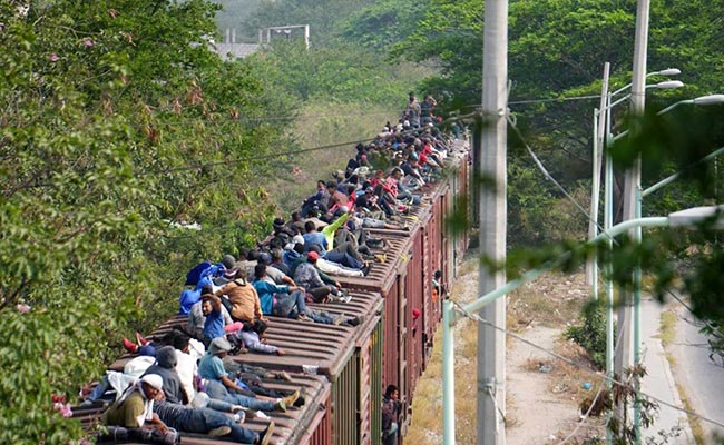 Donald Trump Orders Immigration Sweep Targeting 2,000 Families: Report