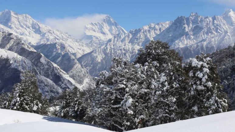 Noida Trekker Goes Missing On Uttarakhand's Pindari Glacier Trail, Search On