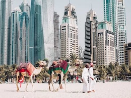 Dubai Applies Brakes On Building Boom After Billionaires Call for Pause Dubai Applies Brakes On Building Boom After Billionaires Call for Pause