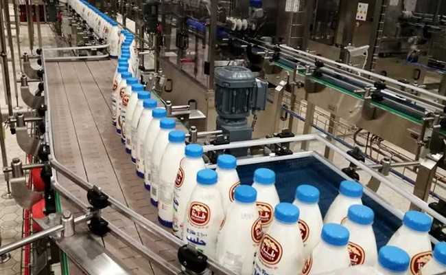 Qatar Takes On Regional Boycott With Cows, Chickens And Greenhouses