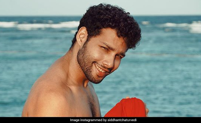 Siddhant Chaturvedi Was Deemed 'Too Upmarket And Fair' For Indian Player's Role In <i>Million Dollar Arm</i>