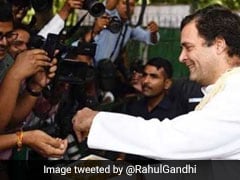 Rahul Gandhi Celebrates 49th Birthday By Distributing Ladoos: See Pictures Rahul Gandhi Celebrates 49th Birthday By Distributing Ladoos: See Pictures
