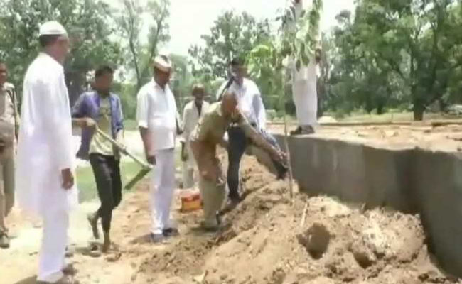 Instead Of Paying For Bail, UP Officer Asks Culprits To Plant 5 Saplings