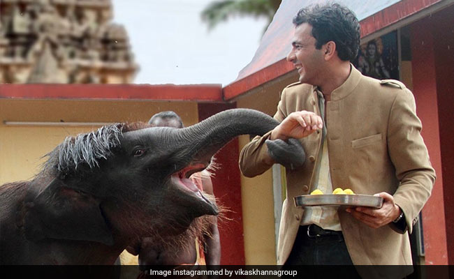 इस बेबी एलिफेंट के हेयरस्टाइल पर फिदा हुईं बॉलीवुड एक्ट्रेस, बार-बार देखना चाहेंगे PHOTO