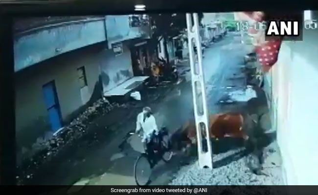 Caught On Camera: Bull Goes On Rampage, Attacks 2 Men In Gujarat Village