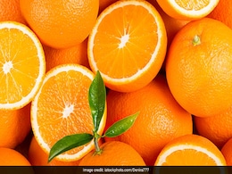 मध्यप्रदेश में उद्यानिकी फसलों के जरिए किसानों की आमदनी बढ़ाने की तैयारी मध्यप्रदेश में उद्यानिकी फसलों के जरिए किसानों की आमदनी बढ़ाने की तैयारी